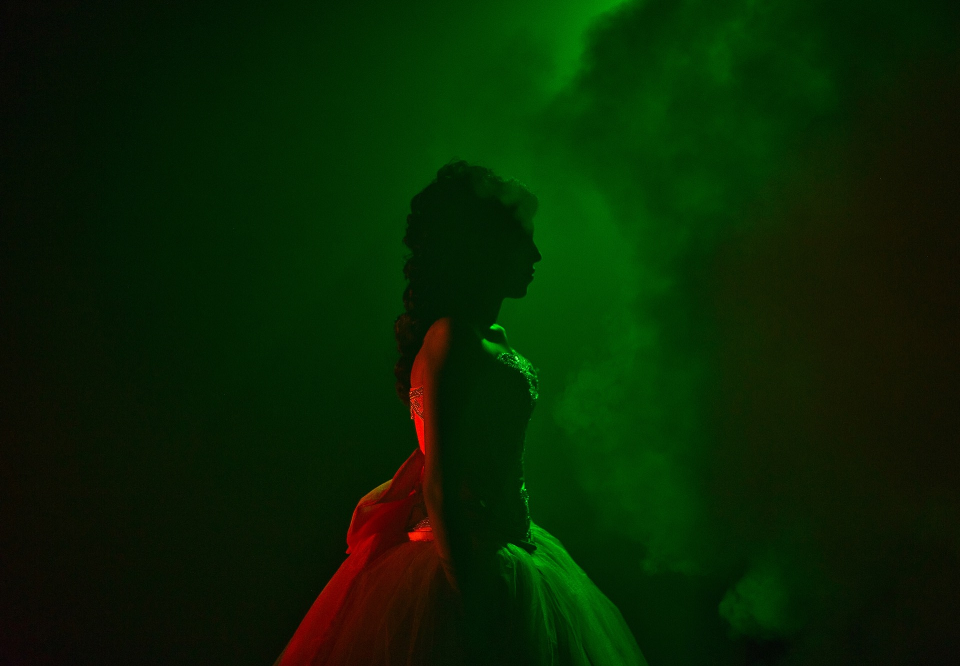 Iguana Like the Sun - Photo 1