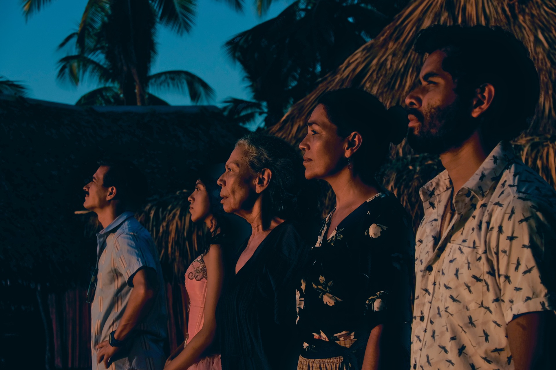 Iguana Like the Sun - Photo 2