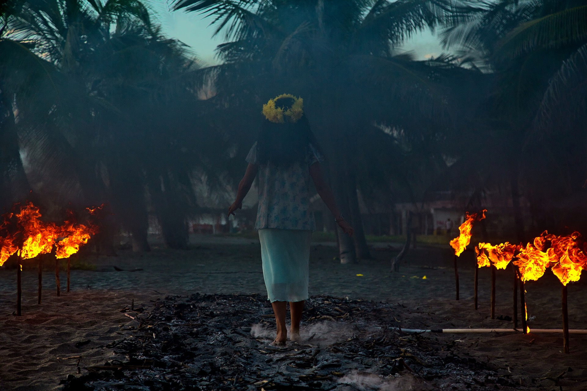 Iguana Like the Sun - Photo 3