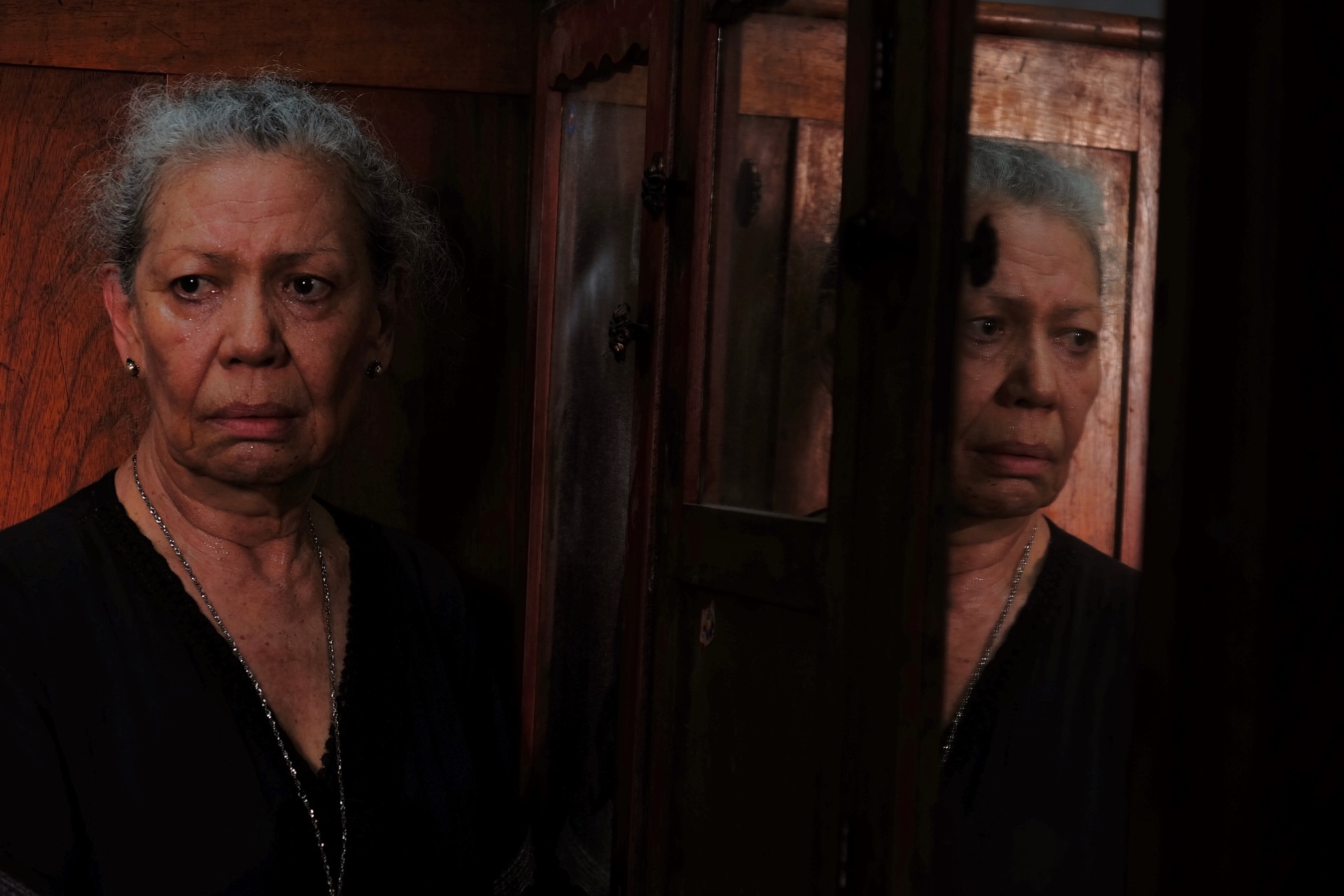 Iguana Like the Sun - Photo 4