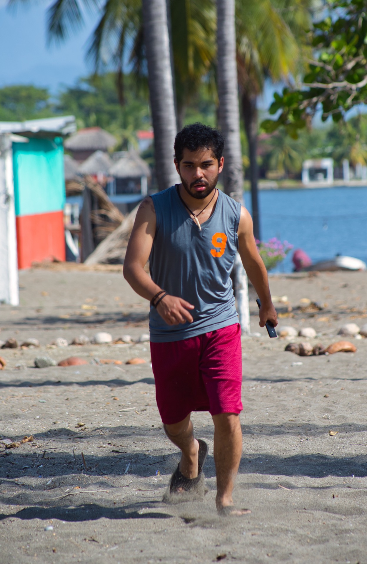 Iguana Like the Sun - Photo 7