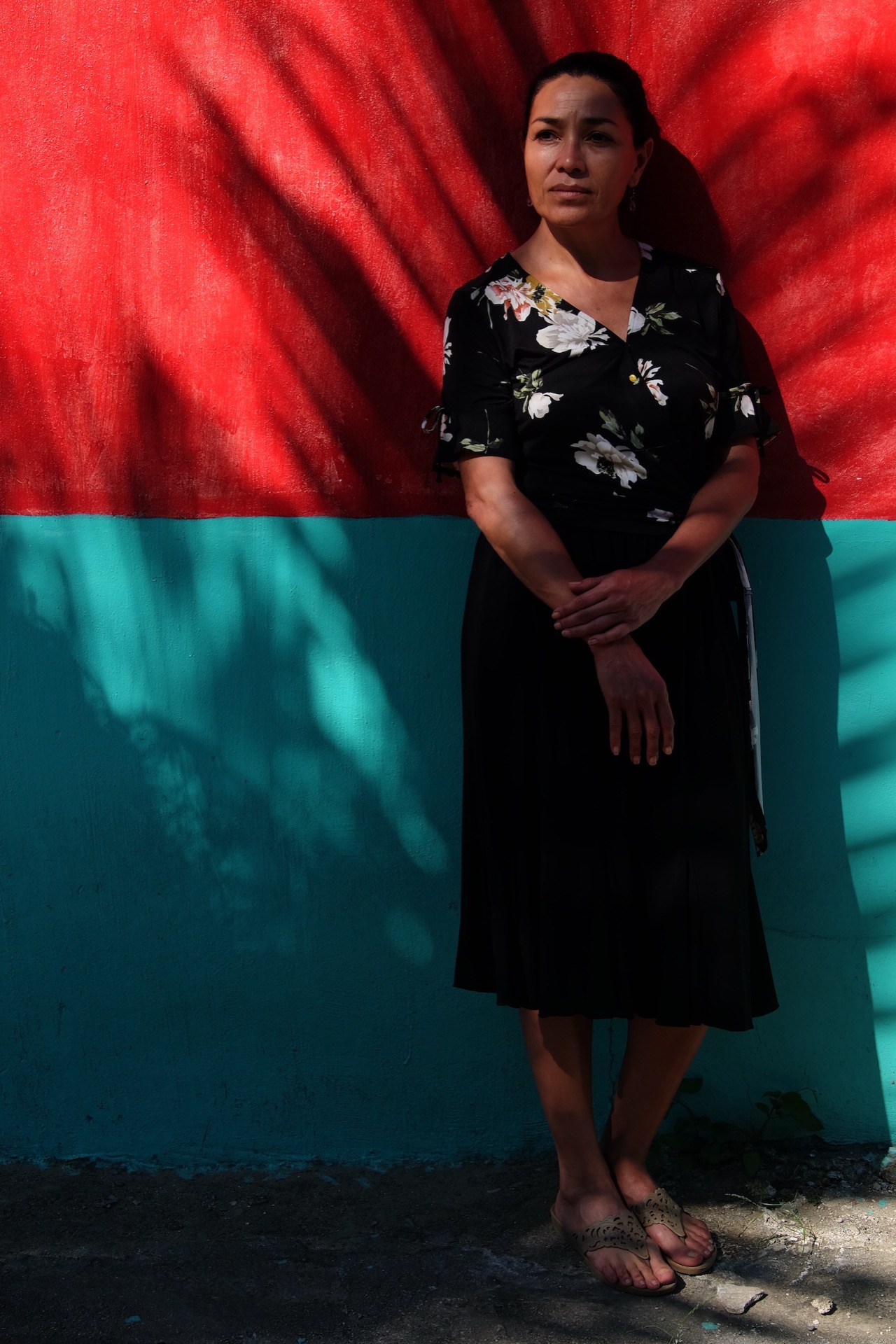 Iguana Like the Sun - Photo 9