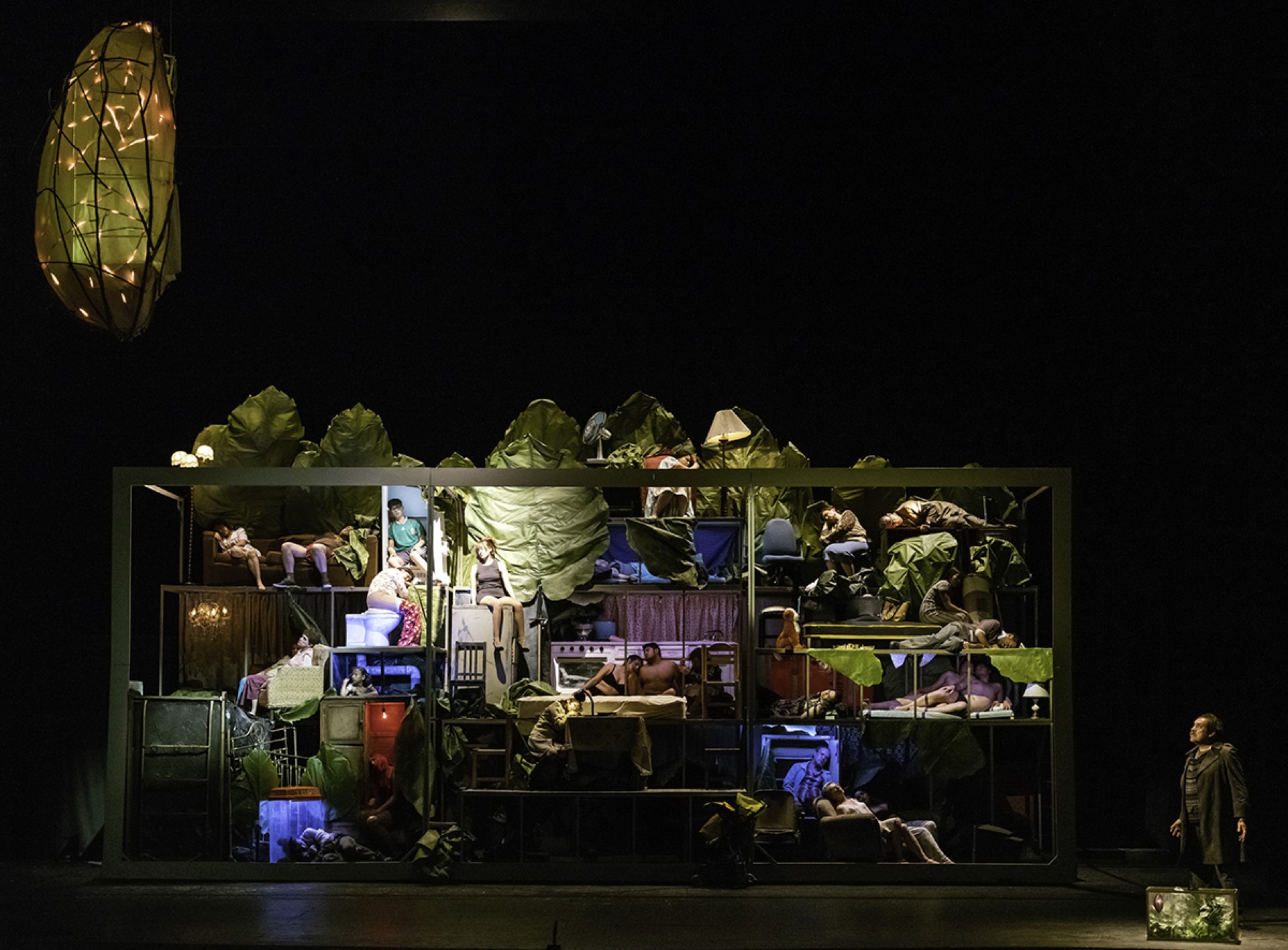 El juego de los insectos - Photo 7